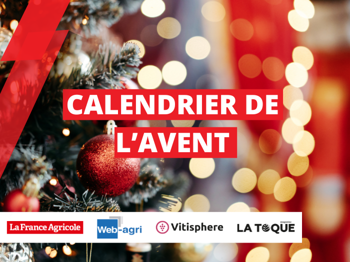 OPS Calendrier de L'Avent